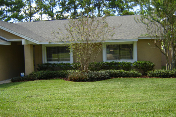 Orlando Painter