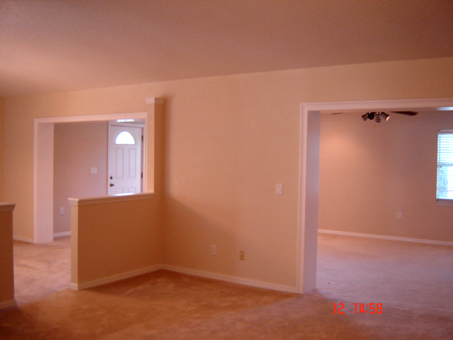 Orlando Painter