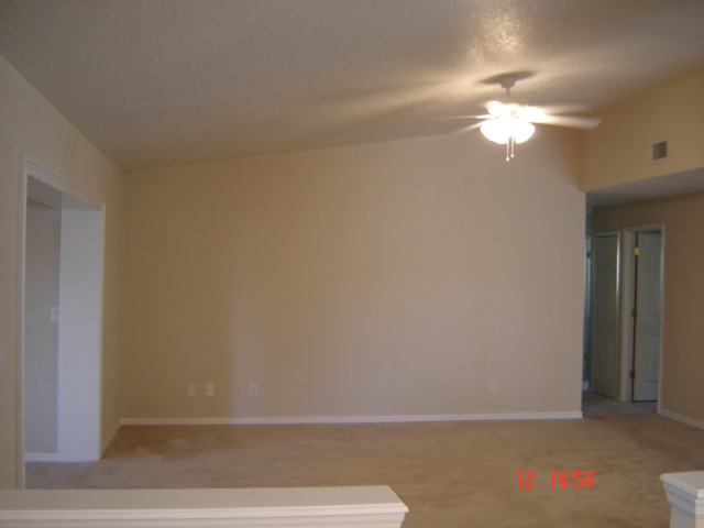 Orlando Painter